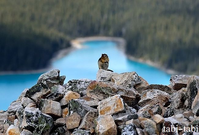 夏旅2019 カナダ旅行 パート４！<br /><br />スコーキー・ロッジから 帰ってきて、疲れぎみなので<br />今日は、軽めの ハイキングです。<br /><br />天気予報は、晴れ・曇り・雨！！<br />今日も元気に、楽しみましょう！！<br /><br /><br />