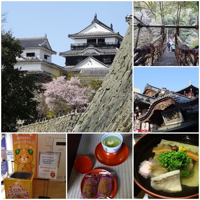 2日目は祖谷のかずら橋から松山城と道後温泉本館に行き、しまなみ海道を渡って福山に行く計画を立てたものの松山滞在が予定より長くなり、しまなみ海道を通る頃にはすでに夜・・・だから渡った実感ほぼ無しでした~<br /><br />とは言えかずら橋ではワクワクドキドキし、松山城では桜を愛で、道後温泉本館の湯に浸かり、美味しいランチも食べて、しまなみ海道以外の計画はバッチリ!満足