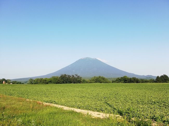 北海道ニセコ 羊蹄山望むリゾートホテルの朝食