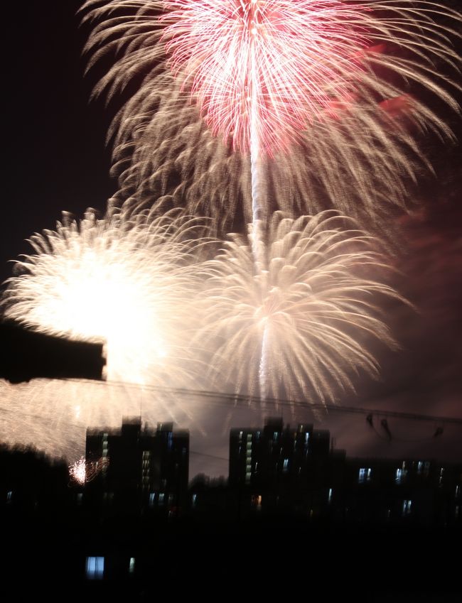 　2017（平成29）年に泉南市で13年ぶりに復活を遂げた花火大会。企業や市民に協賛を募り、迫力のある尺玉やスターマインなど約2万5000発（2日間）の花火に加え、今年はなんと高さ30mの噴水ショーとの大迫力コラボレーションが実現。会場は「日本の夕陽百選」に選ばれている大阪泉南のタルイサザンビーチ。事前リクエストの中から選定された楽曲と花火と噴水を完全にシンクロさせた最先端のショーですが、出不精の私は自宅から鑑賞することにしました。