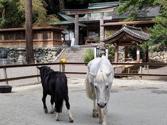 【秋の吉野路】梨と御神馬　原付２種ツーリング