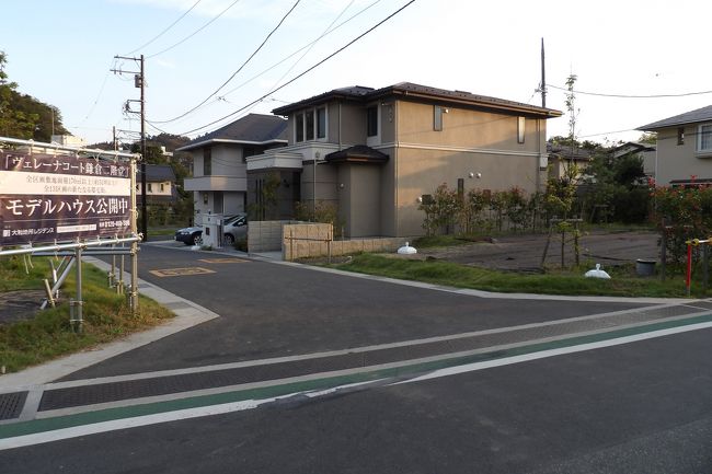 金沢街道の岐れ道から鎌倉宮に向かうお宮通りには最近空き地が多くなっている。<br /> 数年前に更地になったお屋敷跡には13区画の建売分譲地が造成された。ようやく1棟が建ち、今日見ると2棟になっている。分譲地が売れ始めたのかと思いきや、モデルルームや現地案内所が1棟から2棟までに増やされただけで、購入者が分譲地に家を建てているのではないようだ。この分譲地の斜向かいや向かい側にも空き地やそれらしき広場があり、かつてあった家屋やお屋敷が無くなっている。他にもお宮通りの鎌倉宮側の同じ通りには最近、駐車場になっている場所もある。<br /> 鎌倉宮の傍には茶屋などがあって空き地はないが、店のご主人は、「最近は空き地や駐車場になったところが多い。今が遺産相続の時期になっているのでしょうね。」「しかし、鎌倉では駅から遠い分譲地は売れませんからね。」ということだ。なるほど、二階堂ともなれば確かに駅から遠い。<br /> この分譲地の現地案内所前の道路は昔からの道よりも道幅が広く、綺麗なために、子供連れなどの通り道になっている。しかも、この道路は車も通らないので安心なのだろう。<br />(表紙写真は分譲地に建った2棟のモデルルームや現地案内所)