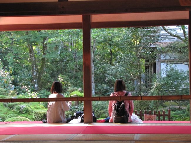 https://4travel.jp/travelogue/11552869 大原三千院 天皇陵 1/3<br />https://4travel.jp/travelogue/11552896 京都左京区 天皇陵 2/3 <br />https://4travel.jp/travelogue/11553095 京都左京区 天皇陵 3/3<br />--------------------------------------------------------------------------<br />2019.10.10 木曜日 京都市左京区/大原地区、北白川、南禅寺方面に行って来ました。<br /><br />AM8:13~PM16:52 京都観光 気温14.6~27度(大原地区はこの気温より3℃下)晴午後曇り<br />1/3<br />82代後鳥羽天皇/84代順徳天皇 大原陵<br />梶井宮墓地 大原勝林院 <br />後伏見天皇九世皇孫 最胤親王墓 (さいいん親王)<br />梶井宮墓地 (違う場所に2つ有ります)<br />文徳天皇皇子 惟喬親王墓(これたかしんのう)<br />高倉天皇皇后 徳子 大原西陵<br />-----------------------------------------------------------<br />2/3<br />曼殊院宮墓地 (蛇が参道に居てびっくりした)<br />林宮寺墓地<br />地蔵聖護院宮 (こんな場所に?と思う場所に)<br />円山聖護院宮 (門が閉まっていてどうしようもない門写真のみ)<br />智成新王墓<br />63代冷泉天皇陵粟田山陵<br />63代冷泉天皇桜本陵<br />霊鑑寺宮墓地<br />ヒサヤ宮陵<br />顕子内親王陵 後水尾天皇皇女<br />後伏見天皇18世皇孫女<br />尊良親王御墓<br />--------------------------------------------------------<br />3/3<br />姑子粟田陵<br />亀山天皇分骨所<br />95代花園天皇十楽院上陵<br />68代後一條天皇苔提樹院陵<br />107代陽成天皇陵<br />清和天皇火葬塚<br /><br />24件回りました。今回は大原三千院に行ったので時間をロスしてしまいました。<br /><br /> <br />