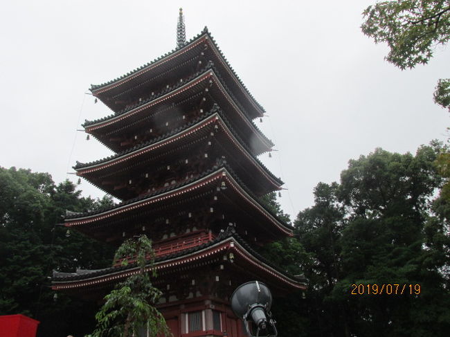 五台山竹林寺の御本尊は知恵の神様文殊菩薩だ。文殊菩薩をご本尊にしているのは、八十八ケ寺の中ではこの寺だけだ。真言「オンアラハシャノウ」を唱えるのはこの寺だけである。自分の記憶では中国五台山には２０－３０ケ寺の大小さまざまなお寺があるが、その殆どが文殊菩薩をご本尊としている。五台山はまさしく文殊の故郷である。文殊菩薩は文殊師利、即ちマンジュシュリー。満州族（マンチュウリ）が自分たちの祖先神、守り神として崇拝してる佛であり、この五台山には多くの満州人、遊牧民、チベット人が参詣に訪れてきている。<br /><br />平安時代、第３代天台座主慈覚大師円仁が若かりし頃唐に留学し、遥々この山上の聖地五台山にやってきて、清凉寺を訪ねたが、帰国後、その時の旅行記「入唐求法巡礼行記」を物にし、それはマルコポーロの「東方見聞録」の遥か４００年も前のことであり、ツキジデスかヘロドトスか名前は忘れたが、古代ギリシャの大旅行家に匹敵する大旅行記であった。聖武天皇の命により行基がこの場所に五台山になぞられて竹林寺を創建した時は、この慈覚大師よりも１００年以上も前のことであり、当然行基は五台山がどんな高い山の中にあるのかは知っていなかったに違いないが、そこが文殊菩薩の聖地であることは何かの書物、伝聞で知ることになり、この寺の御本尊を文殊としたのだろう。<br /><br />本堂、大師堂で参拝した後、五重塔の下まで行って、しげしげと見上げる。高くて堂々としていて立派な五重塔だ。塔の前に銘板があって、見るとこの塔は昭和５５年（１９８０年）に建築され、総檜造り、塔内にはブッダガヤより勧請された仏舎利が収められているとのことである。今は７月で塔の周囲のもみじ葉も青々と茂っているが、秋になると見事に紅葉し、五重塔の朱色を更に赤く染めて、実に見事な景色とのこと。そうだ、巡礼の旅が終わったら、秋の頃もう一度この寺に来て、夢想疎石の庭と併せ、ただ純粋に秋の紅葉を楽しもう。そうそう、お寺の前には牧野富太郎の大きな植物園もあった。夢が膨らむ。