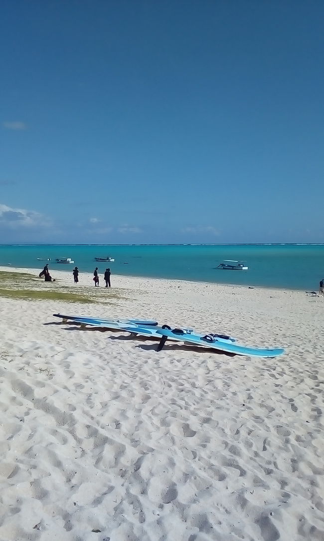 ウインドサーフィン目当てで訪れた 憧れの島与論島<br />今日は 仙台へ帰ります<br /><br />まずJAL系の飛行機で 鹿児島まで<br />往復で 32.600円<br />そこから セントレア経由で仙台まで<br />今日は土曜日なので マイルを使う事ができませんでした<br />んでANAで 41.910円<br />今回の旅行の費用は 飛行機に6回乗って<br />2ヶ所へ4泊して それとこれで135.310円+5.000マイル<br />与論の食事は朝のみですが<br />それでも 去年のクラブメッドへ行って<br />往復マイルを使った時の費用と ほぼ同じです<br />うーんお得かな<br />でもクラブメッドは 部屋の眺望とか<br />ホテルの施設はいいし 一長一短ですね<br /><br />さて 今日は鹿児島空港で少し時間があります<br />どうしょうかな
