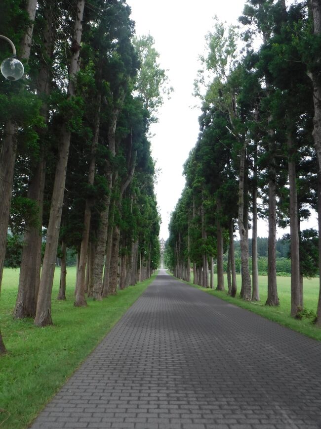 ダイヤモンドプリンセスで夏の北海道へGO☆⑥函館タクシー旅-前編