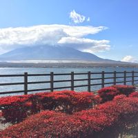 山中湖＆忍野_Lake Yamanaka & Oshino　芸術と信仰の舞台！霊峰富士をとりまく湖と湧水