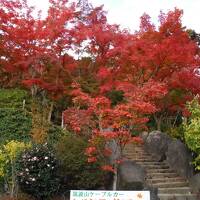 つくば_Tsukuba　『西の富士、東の筑波』！秋には紅葉も楽しめる学園都市