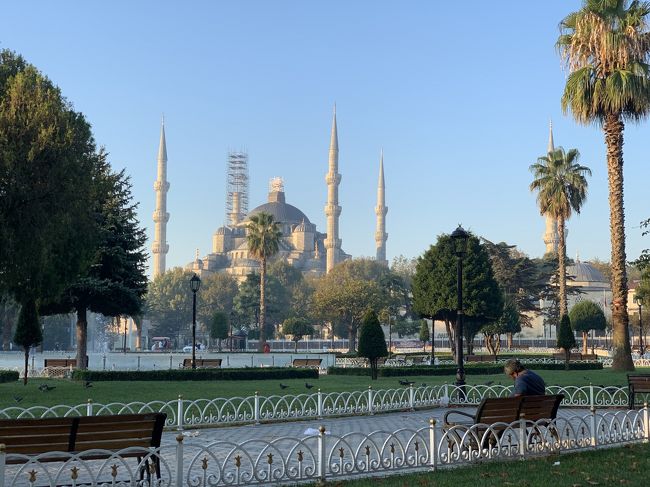 個人旅行でトルコ10日間。<br />#10/1、10/2フランクフルト経由でイスタンブール国際空港、旧市街地泊<br />10/3イスタンブール旧市街地観光、旧市街地泊<br />10/4サビハギョクメ空港から飛行機でパムッカレ、ヒエラポリス遺跡観光、クシャダシ泊<br />10/5エフェス遺跡観光、イズミル空港から飛行機でカイサル空港、カッパドキア泊<br />10/6カッパドキア北ツアー、カッパドキア泊<br />10/7カッパドキア南ツアー、深夜飛行でイスタンブル、新市街地泊<br />10/8イスタンブル新市街地観光、新市街地泊<br />10/9イスタンブルから日帰りでプリンス島、新市街地泊<br />10/10早朝便、ヒースロー空港経由で帰国<br /><br />トルコリラ暴落(1リラ約18円)、物価上昇、旅行後半にはシリア空爆が在ったりの2019秋。<br />そんな中、王道の観光地を個人旅行(現地ツアー参加)してきました。<br />