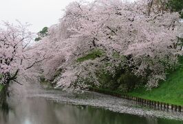 2018春、東北北部の名城(14/28)：4月25日(9)：弘前城(6完)：お堀：浪岡城(1)：城跡