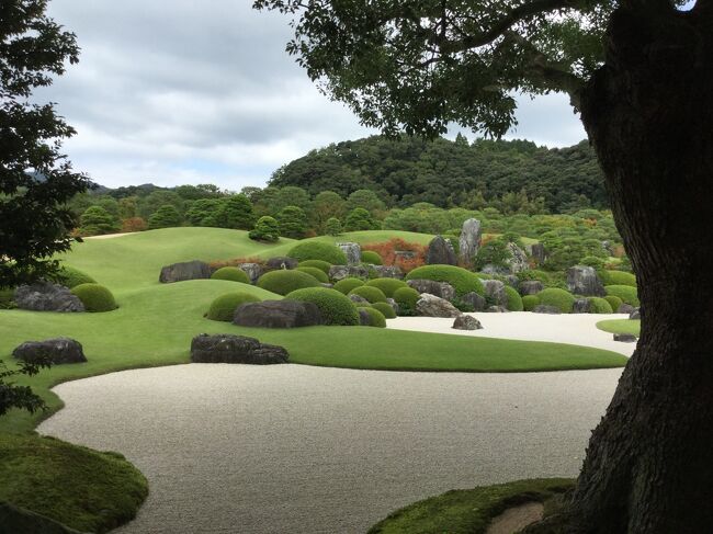 足立美術館の庭を見に来ました。<br /><br />美術は横山大観だそうです。<br />庭は米国の The Journal of Japanese Gardening の日本庭園ランキングで2003年から日本一に選出されているそうです。<br /><br />境港から米子駅経由で安来駅へ。<br />安来駅から足立美術館の間は無料バスが出ている。20分です。<br />安来駅からは特急出雲で岡山駅まで行きます。<br /><br />足立美術館に2300円で入館しました。<br />約1時間少し庭を中心に見て周りました。<br />綺麗な庭でした。<br />2皆の絵を見て周った。殆どが横山大観の絵でした。<br />陶芸は1階の河井寛次郎さんのだけ見て、<br />二階に北大路魯山人さんのがあったようですが行きませんでした。<br />