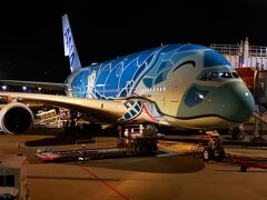 ANA a380カイ君に会ってきた