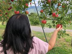 上山田温泉でサイクリング　その２　途中でリンゴ狩り。