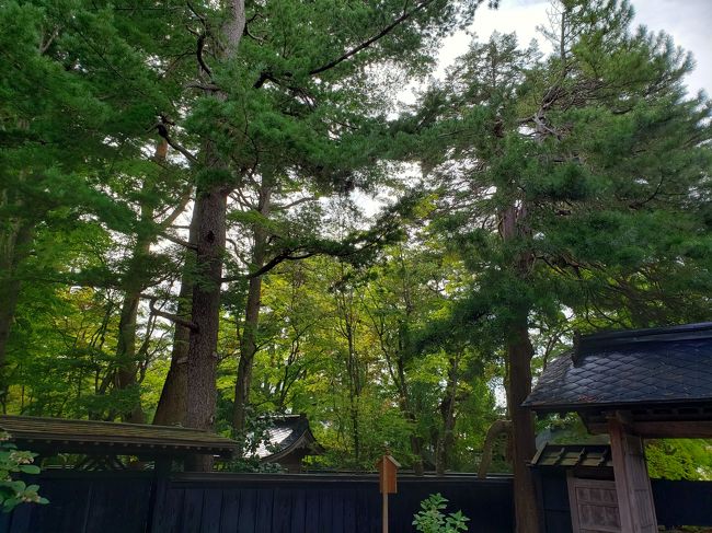 またまた、金曜日に有給をとって、2泊3日の小旅行。<br /><br />男鹿半島と角館のどちら方面を旅するか迷いましたが、台風18号が温帯低気圧に変わるため秋田は荒天との気象予報で、交通の便が比較的良い後者にしました。<br /><br /><br /><br />