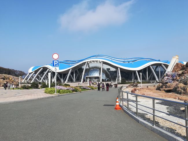 母娘のウラジオストク旅行、2日目後編です。<br />水族館、スプラで夜ご飯。