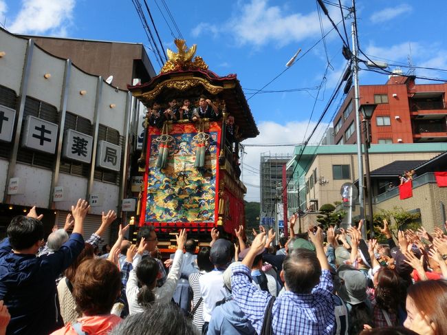 久しぶりに大津祭を観に行った。<br />お祭りは人が多いので、人混み嫌いの私は普段からほとんど行かない。<br />トシ爺（本物の祖父になり年金をもらうようになったので、主人の呼び名も昇格改名）が、「今日のウォーキングは大津祭りを観に天孫神社まで行こう」というので付いて行った。<br />台風の影響で宵宮は中止になったけど、台風一過の秋空の下で、華やかに本祭が開催されていた。<br /><br />余談ですが…<br />あまりの暑さに、8月はウォーキングを全くしなかった。<br />すると8月下旬のコレステロール値が、7月下旬より30以上アップしていた。<br />Σ(･ω･ﾉ)ﾉ！ﾔﾊﾞｲ<br />8月下旬のコレステロール値は、会社の健康診断で出されたもの。<br />主治医はこれを知らない。<br />10月末の検査に向けてただ今、食事制限＆ウォーキング強化中。<br /><br />