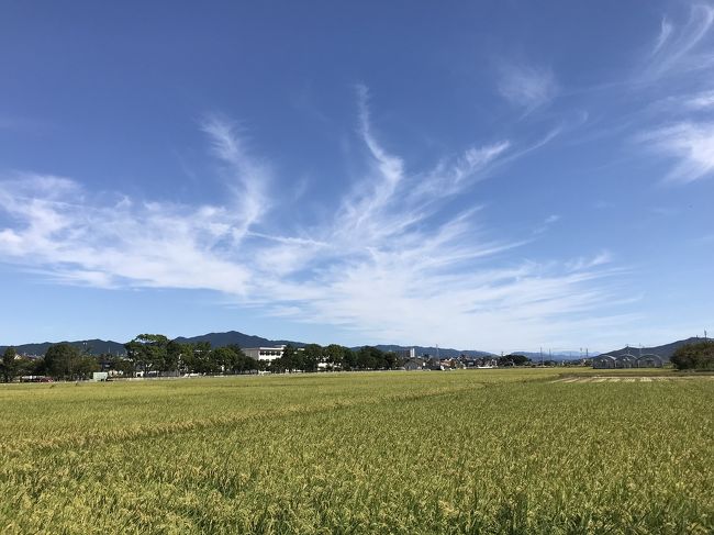 8:45 JR飯田線牛久保駅下車。<br />牛久保駅~牛久保城跡~牧野成定公廟~長谷寺(山本勘助の墓)~八幡社~大聖寺(今川義元公墓所)~一色城跡~瀬木城跡~牧野城跡~三明寺~豊川稲荷~豊川城跡~豊川駅<br />12:50 JR飯田線豊川駅乗車。豊橋に移動。<br /><br /><br />牛久保駅から豊川駅間(一駅間)の旧跡名所巡りで歩く。<br />一部交通量の多い国道沿いを歩くが、静かすぎる程の平坦な道なりで、青空広がる中、清々しさを感じるコースだった。<br /><br /><br />