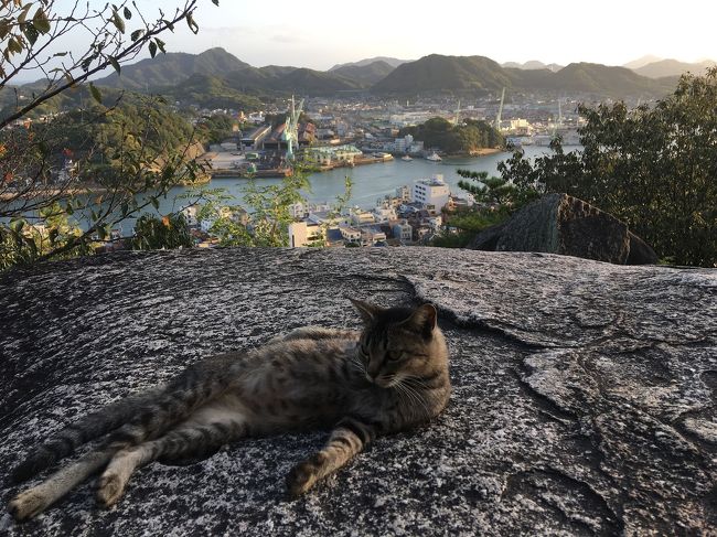 千光寺ぶらり旅をして来ました。