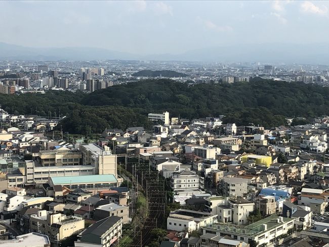 羽田空港 8:00 -(NH15)- 9:05 伊丹空港 -(リムジンバス)- 新大阪 10:26 - 10:42 放出 10:42 - 久宝寺 - 11:15 柏原 11:21 - 道明寺 - 11:30 土師ノ里…（古市古墳群サイクリング）… 土師ノ里 13:10 - 13:24 大阪阿部野橋 - 天王寺 13:34 - 堺市 - 13:49 百舌鳥…（百舌鳥古墳群サイクリング）… 百舌鳥 16:34 - 鳳 - 日根野 - 17:33 関西空港 18:35 -(NH3828)- 19:55 羽田空港 　<br /><br />一昨年の１１月にＪＲ全線完乗を達成したが、今年の３月に「おおさか東線」新大阪ー放出間が開通し、未乗区間が発生してしまった。<br />わずか11キロのために、東京から乗りに行く気にもならず、そのままになっていたのだが、今年になって世界遺産に登録された「百舌鳥古市古墳群」巡りとセットで、日帰り大阪の旅をする事に。<br /> 