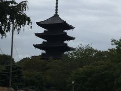 京都、寺周りジョク観光