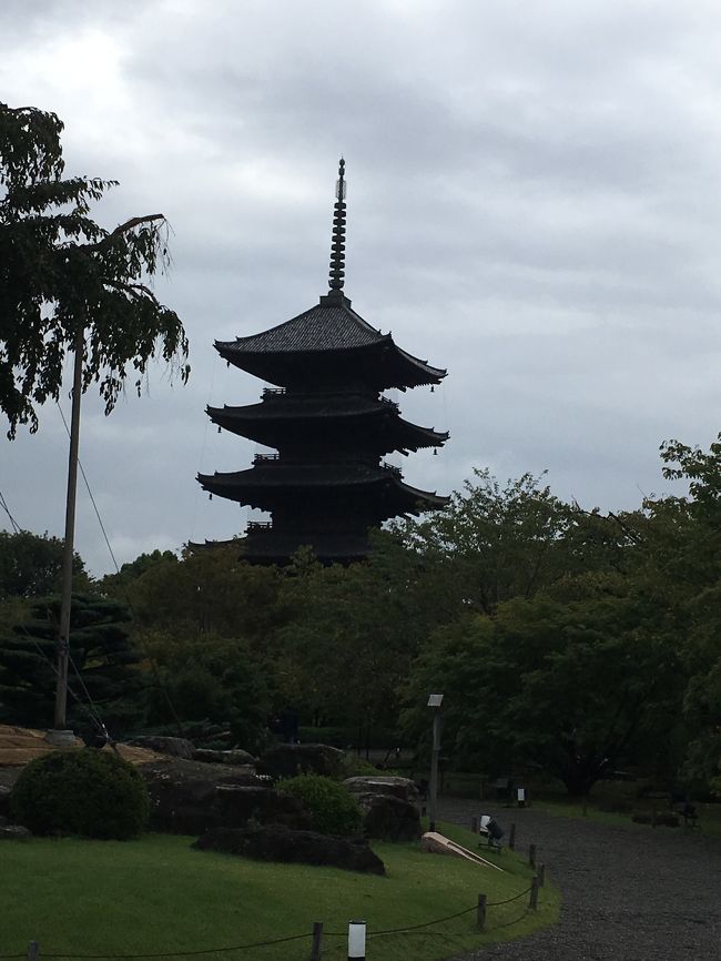 三連休の最終日。暇つぶしに三宮から京都へ。そういえば、寺ってあまり行ってなかったということで、西本願寺、東寺、東本願寺へ。ついでに八坂神社まで足を延ばすと12km位の観光ジョグになりました。