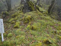 四国剣山１０月　穴吹川源流の修験者行場コースを歩く