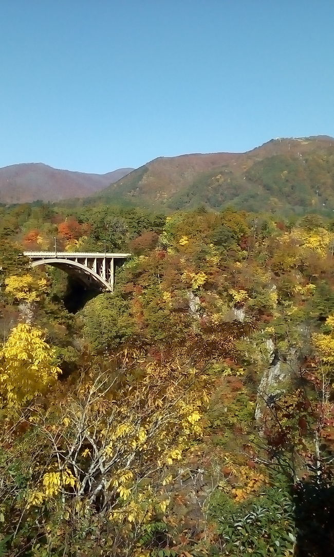 11月は　与論島へ行くんだ<br />でも10月は　月末二連休なんだよね<br />やっぱ　温泉でしょ<br />紅葉の時期なんで　いつもの大江戸温泉グループはお高い<br />では　初めて一人で中山平温泉方面へ足を伸ばします<br /><br />紅葉で有名な　鳴子峡を越えて行くので<br />景色も　楽しめると思います<br />この時期は平日でも渋滞するらしいのですが　どうかしら<br />宿泊の中山平温泉は　とろっとしたお湯でもあり<br />いつもの硫黄泉と違って　またいい感じのはず<br />楽しみです