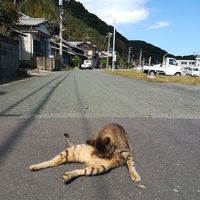 2日目　博多猫の島～天神屋台体験