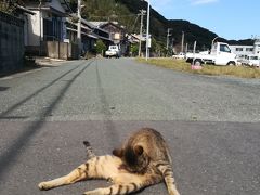 2日目　博多猫の島～天神屋台体験