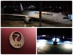 エアバスA350に初乗り♫台風と弾丸福岡旅の2