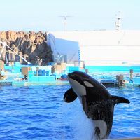 2019年10月 名古屋港水族館でプチ寄り道旅