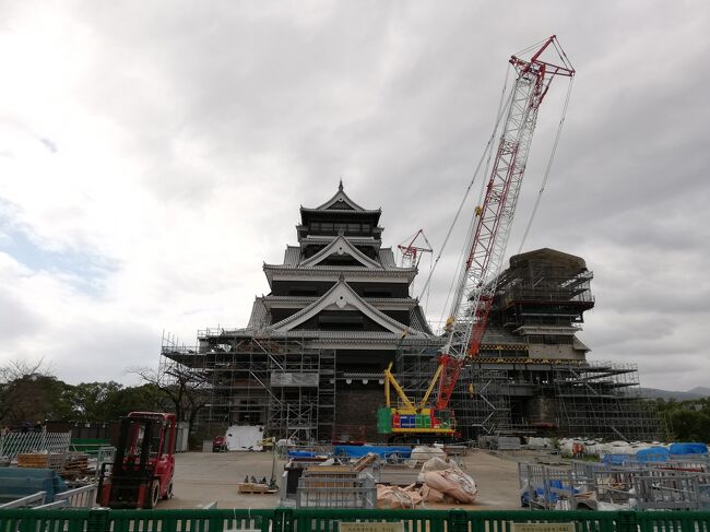 ネットニュースで熊本城の特別公開のニュースを見ました。これは行かねば。<br /><br />10/5~10/14までは熊本城大天守閣外観復旧記念週間で、その後は日曜をメインに土曜祝日年末年始の公開となります。<br /><br />まだまだ地震の爪痕は沢山残っている熊本城ですが、それでも威風堂々とした大天守閣を間近で見ることが出来て感無量。<br /><br />地震のあったあの時、ようやくハイヤー祭りを見に行こうと熊本へ行く予定にしていたのです。いわゆる前震と言われるあの揺れだけであったら行っていたと思いますが、その後本震がきてしまい新幹線が脱線。その後、各JRの協力もあり、GW前には徐行区間もありましたが、博多から熊本までの新幹線が開通。そのGWにも熊本へ行く予定だったので1か月前に予約している20時前のみずほは九州新幹線が徐行運転をしていることもあり、0時の壁のせいでこやつが筑後船小屋止まり。さて、どーする自分、です。が、日に日に新幹線の徐行区間が短くなってきたため、みずほは熊本へ行くこととなりGWには熊本へ行くことが出来ました。<br />そのGWは、SL人吉、いさぶろうしんぺい、はやとの風と観光列車を乗り継いでの鹿児島の旅の予定でした。観光列車は走っていましたが、GWなのに車内はガラガラでした。そんな地震後の熊本でした。