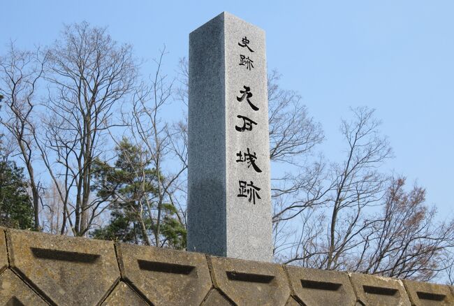 東北北部の名城巡り、続日本百名城の九戸城の紹介です。西側を馬淵川、北側を白鳥川、東側を猫渕川により、三方を河川に囲まれた天然の要害で、城内は空堀によって、本丸、二の丸、三の丸、若狭館、外館、松の丸などの曲輪群を持つ、東北地方では有数の規模でしたが、江戸初期に廃城となりました。