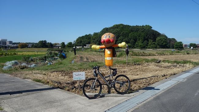 続編とは勝手な表現で、出向いたのは私一人だけでした。過日のサイクリングで皆さんと別れた後訪れる予定だった「安康天皇陵」が見付けられず、時間が迫ってきたのでその後の予定だった奈良在住のA氏との飲み会に流れ込んでしまいました。もっとも、飲み会は河内温泉大学キャンパス付近で開催しました。
