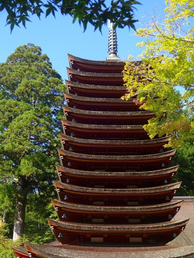 興福寺や法隆寺、法起寺を訪れた二日目は、酒船石に寄り、その後はこの日の宿にチェックインします。<br /><br />翌日は前回の奈良訪問で入り口まで行きながら閉門時間になって断念した談山神社を真っ先に訪れます。<br /><br />さすがに朝一番の訪問、今度は門前払いはくらいませんでした（笑）<br /><br />その後は大神神社や檜原神社といった日本最古の神社群を中心に見学しました。<br /><br />と書けばカンタンそうですが、最後の檜原神社への道、これは筆舌に尽くしがたい難路でしたーーー！！！<br />（テレビのポツンと一軒家という番組の難路そのものです！？）<br /><br />