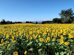 娘家族と秋の北海道3泊4日