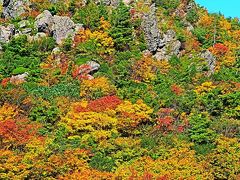 栗駒国定公園-5　須川高原ｂ　名残ヶ原湿原ハイク ☆栗駒山くっきり・快晴-紅葉見ごろ