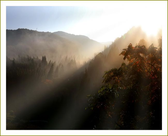 ■紅葉観賞記　爽やかな秋風が吹き抜ける高原でリフレッシュ♪ＳＵＰＥＲ７と遭遇！<br /><br />【　手記　】<br />　今年も紅葉の季節がやってきました！ 広島県の「もみじだより」情報だとすでに中国山地中部（比婆・道後山）は見ごろをむかえているようですが、西中国山地でもそろそろ山々の木々が色づき始め見ごろをむかえています。<br />　この日は早朝５時起き、朝７時には恐羅漢の麓に到着しておりました。斜光射す朝靄の中の紅葉を見たいがために早くから行動したのであります。ウッシ！<br />　今年もいつものように恐羅漢山からぐるっと周って芸北八幡高原までやってきました。八幡高原はわたくしの人生の中でもっとも想い出ふかい地です。季節を問わず飽きもせず１年中何度も足を運んでいます。<br /><br />▽八幡高原と山麓庵／広島県北広島町<br />　八幡高原は、西中国山地国定公園にあり、標高約８００ｍの広島県北広島町八幡地区一帯に広がっています。<br />　西中国山地の中でも最も標高の高い盆地にあり、北に大佐山、東に掛頭山、南に臥竜山、西に聖山・高岳がそびえています。<br />　樹齢200年以上のブナ原生林におおわれた臥龍山をはじめとする1000ｍを越す山々に囲まれています。<br />　茅葺き屋根の山麓庵は八幡地区の伝統的な建築方法を再現した建物で、実際に使われていた農具などを展示し、内部を自由に見学できます。<br /><br />▽紅葉と黄葉<br />　紅葉や黄葉が色づき始めるのに、日最低気温８℃以下（広葉樹）が必要です。さらに５℃以下になると一気に進むとされます。<br />　美しい紅葉の条件には「昼夜の気温の差が大きい」「平地より斜面」「空気が汚れていない」「適度な水分」など光合成が行いやすい条件が必要です。<br />　紅葉の名所はこのような条件をよく満たす高原、渓谷、標高が高い湖沼・滝周辺が多いです。