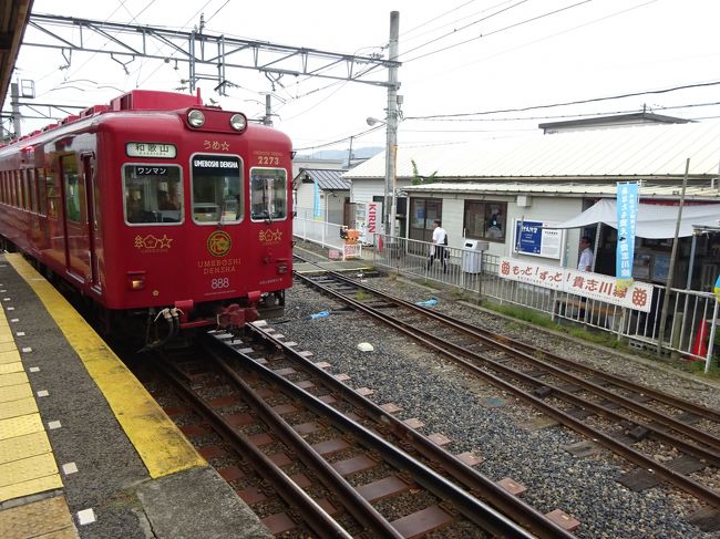 昨年夏、大阪への用事のついでに巡った大阪南部のローカル線。<br />今回、また同じ用事で大阪に出かけたので、その続きで和歌山のローカル私鉄に乗りに行っております。<br /><br />南海電鉄の支線、和歌山港線に乗り、そのあと多奈川線沿線の長閑な所を歩いて、和歌山市駅に戻ってきました。<br /><br />ここから、和歌山電鐵貴志川線に乗りに行きます。<br /><br />この路線は、もともと南海貴志川線という路線でした。<br />利用客が減ってきて、廃線の話が出てきたところで、いろいろ紆余曲折があって岡山電軌の完全子会社「和歌山電鐵」として生まれ変わりました。<br /><br />和歌山電鐵といえば「たま駅長」で有名。<br />そのほか、所属するすべての車両が特徴をもったデザインに改造されました。<br />どのダイヤにどの車両が使われているかは日替わりなのですが、これがすべてHPで公表されています。<br />そこで、できる限りいろんな車両に乗れるように、あちこちで途中下車しながら進みます。<br /><br />いろんなことがありすぎて長くなってしまったので2編に分けました。<br />本編はその〈前編〉です。<br />