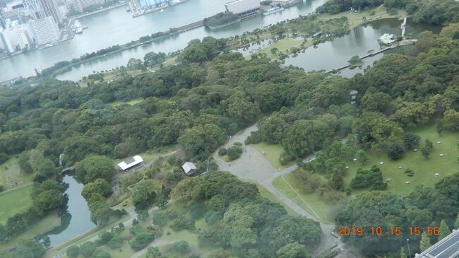 ｛浜離宮恩賜庭園｝<br /><br /><br />池のある都立庭園。 <br />１７世紀に将軍家別邸として始まり、江戸時代の様式で造成。<br />〒104-0046 東京都中央区浜離宮庭園１－１<br />tokyo-park.or.jp<br />03-3541-0200<br />営業:  9時00分～17時00分 