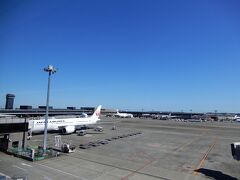 成田空港へ　2019　ロシアへの旅  その1　