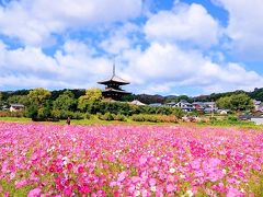 秋の法隆寺を散策