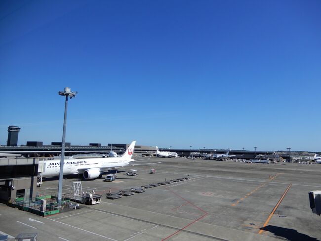 成田空港へ　2019　ロシアへの旅  その1　
