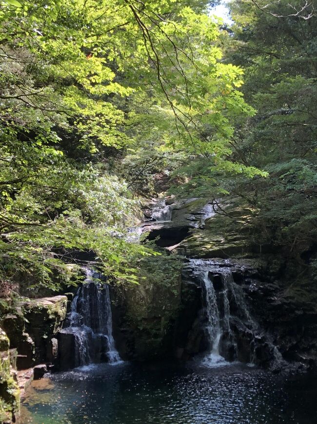 ２０１９年９月は久々に山歩き。真夏に比べて少しは涼しくなったし、３連休なのでたまには近場でお出かけもいいかなということで。<br />赤目四十八滝がメイン。最初は散策と思いましたが、意外と山道で本格的なハイキングになりました。室生寺は五重塔が見たくて、帰りに立ち寄りました。名刹は境内に入っただけで静かになり、落ち着いた雰囲気になりますね。良かったです。