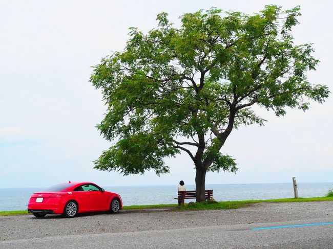 旅行雑誌等でよく見る山口県の人気スポットを巡るドライブ旅行。<br />昨年の広島へのドライブで自信を持ったので、今年は本州最西端山口県への旅行を計画。<br /><br />①8/19<br />・秋芳洞<br />・元乃隅稲成神社<br />宿泊<br />油谷湾温泉「ホテル楊貴館」<br /><br />②8/20<br />・角島大橋<br />・角島灯台<br />・海峡ゆめタワー<br />・関門橋<br />宿泊<br />下関温泉「風の海」<br /><br />③8/21<br />琵琶湖まで移動<br />宿泊「びわ湖大津プリンスホテル」<br /><br />④8/22<br />・琵琶湖畔「あるベンチ」<br />・彦根城<br />・伊吹山ドライブウェイ