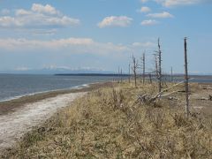 2019.4 北海道　－３日目／硫黄山・野付半島（トドワラ・ナラワラ）・熊の湯・知床峠・知床世界遺産センター－