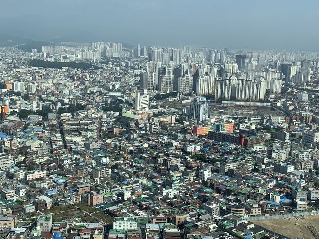 生誕地朝鮮大邱府東城町1丁目34番他を求めての訪韓だったが、区役所でヒアリングも当時の地図無く残念だった<br /><br />韓国は、何故か建築ラッシュ！<br />バブルを想起する地上げが散見！<br />83タワー  からの眺望は香港、ＮＹを思い出す街並み！<br /><br />庶民生活は、高齢者が段ボールをリヤカーで集める姿！<br />戦後の日本を見る露店や市場などなど！<br /><br />歴史遺産などは、朝鮮戦争で焼失したのか、抗日、独立運動等対日闘争のmonumentが目立つ！<br /><br />その一方で、統治下での日本人が残した文化遺産は、観光ルートには無く、ひっそり知る人ぞ知るの展示！<br /><br />若者達は、東城路の近代化された街並みを楽しんでいる<br /><br />対韓国の友好関係構築は、お互いの歴史認識を見直し、コミニケーションを深める事が必要不可欠だと思います！<br /><br />後期高齢者の約10万歩数超の大邱市内散策でした！<br />健康維持に感謝、感謝です<br /><br />アルバム替わりにアトランダムに印象に残った写真をアップします！<br />ご笑覧ください！<br />It was a visit to Korea in search of 1-34, Tojo-cho, Dazaifu, Korea, but the hearing at the ward office was disappointing without a map at the time.<br /><br /> Korea is an architectural rush for some reason!<br /> There are a lot of uplifts that remind you of a bubble!<br /> The view from 83 Tower is a cityscape reminding of Hong Kong and NY!<br /><br /> In the commoner&#39;s life, elderly people collect cardboard with a rear car!<br /> Stalls and markets to see post-war Japan!<br /><br /> As for historical heritage, monument of struggle against Japan such as anti-Japan and independence movement is conspicuous whether it was destroyed by the Korean War!<br /><br /> On the other hand, the cultural heritage left by the Japanese under the rule is not on the sightseeing route, it is an exhibition that people who know quietly know!<br /><br /> Young people are enjoying the modern streets of Dongcheng Road<br /><br /> To build friendly relations with South Korea, it is essential to review each other&#39;s historical recognition and deepen communication!<br /><br /> It was a walk around Daegu city with more than 100,000 steps for late elderly people!<br /> Thank you for maintaining your health<br /><br /> I will upload photos that have left an impression at random instead of the album!<br /> Please take a look!