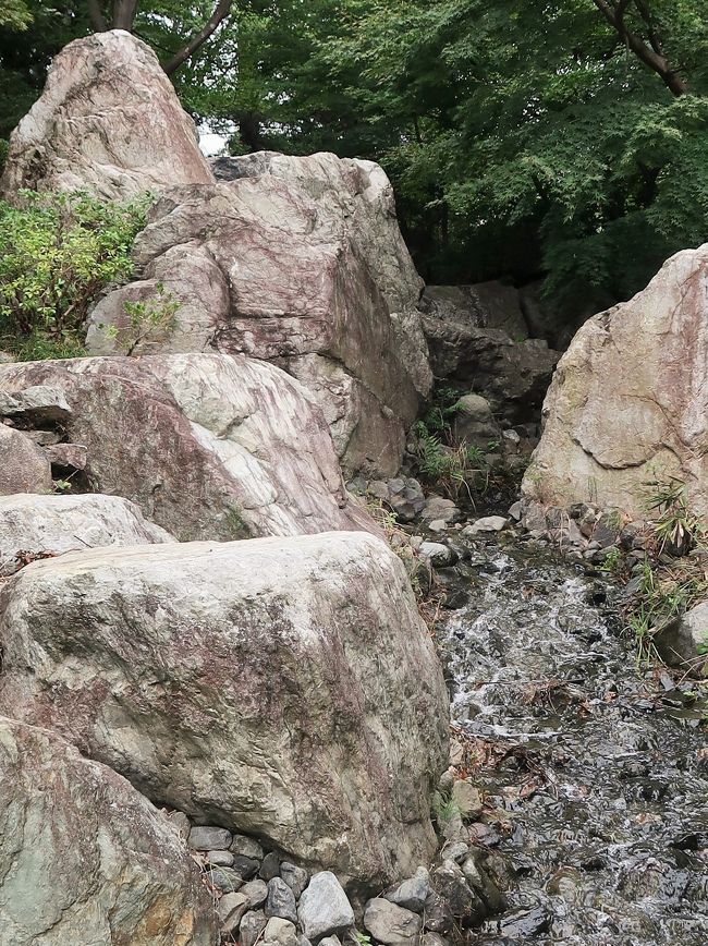 国営昭和記念公園は、東京都立川市と昭島市に跨る日本の国営公園。 <br />昭和天皇御在位50年記念事業の一環として、現在及び将来を担う国民が自然的環境の中で健全な心身を育み、英知を養う場とするために、戦後米軍が旧立川飛行場を接収した立川市と昭島市の両市にまたがる立川基地跡地のうち、180haを記念公園として建設することが閣議決定され、「緑の回復と人間性の向上」をテーマに1978年(昭和53年)度より国土交通省の手で施設整備が進められてきた。1983年(昭和58年)10月26日、昭和天皇臨席のもとに約70haで開園した後、レインボープールや子供の森、日本庭園、砂川口、盆栽苑等次々と施設が整備され、2005年(平成17年)11月にはみどりの文化ゾーンが共用され、同時に昭和天皇記念館が開館した。 <br />(フリー百科事典『ウィキペディア(Wikipedia)』より引用)<br /><br />国営昭和記念公園 については・・<br />http://www.showakinen-koen.jp/<br /><br />国営公園 については・・<br />http://www.ktr.mlit.go.jp/city_park/machi/city_park_machi00000005.html<br /><br />国営公園とは、日本において都市公園法に定められた要件を満たしている公園または緑地で、国(国土交通省)が設置するものを指す。 <br />都市公園法は、その第2条第1項第2号で、 次に掲げる公園又は緑地で国が設置するもの<br />イ 一の都府県の区域を超えるような広域の見地から設置する都市計画施設である公園又は緑地<br />ロ 国家的な記念事業として、又は我が国固有の優れた文化的資産の保存及び活用を図るため閣議の決定を経て認定する都市計画施設である公園又は緑地と規定している。この要件を満たしている都市公園を国営公園と称する。 <br />(フリー百科事典『ウィキペディア(Wikipedia)』より引用)