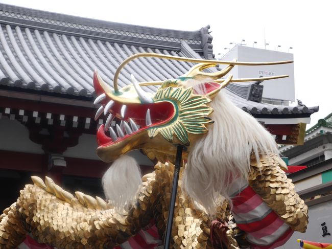 毎年10月18日は浅草寺「菊供養会」。<br />菊供養会は、奥田貫昭貫首の法話「観世音菩薩と菊慈童」をきっかけとし、明治31年(1898)より始められた行事でです。<br />「観世音菩薩と菊慈童」は次のような話でです。中国の周王朝の穆という国王の召使「慈童」が、落ち度から深山に追放となりました。それを憐れんだ国王は『観音経』経文の一部を慈童に授けました。慈童が経文を菊の葉に書き記しておいたところ、その葉に滴る雨露が霊薬となって、慈童は不老長寿を得たといいいます。<br />菊供養会の当日、ご信徒は持参した献菊(小菊)とすでに本堂に献花された下供菊を交換して持ち帰ります。この下供菊を陰干しして枕の中に入れると、頭痛が去り、災厄を除くと信じられています。また、この日は菊をかたどった「菊のお守り」が授与されます。<br />菊供養会の日、「金龍の舞」が奉演されます。<br />2年前にも見た、「金龍の舞」。近くで見る「金流の舞」は迫力満点です。<br /><br />2年前の旅行記はこちら<br />浅草寺「金龍の舞」奉演☆グリル グランド☆2017/10/18<br />https://4travel.jp/travelogue/11295690