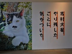 ２０１９年１０月　山口県　防府愛情フリマーケットと色鉛筆画家、吉村大星展